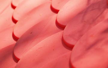 Struy plastic roof costs