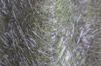 Struy fibreglass roof work